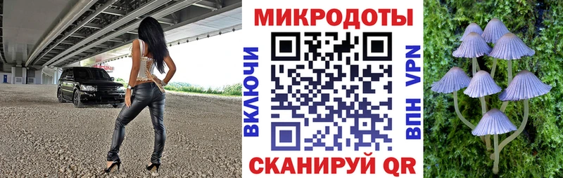 Купить  Златоуст  Галлюциногенные грибы мухоморы 